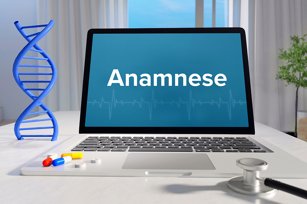 Computerscreen showing Anamnese